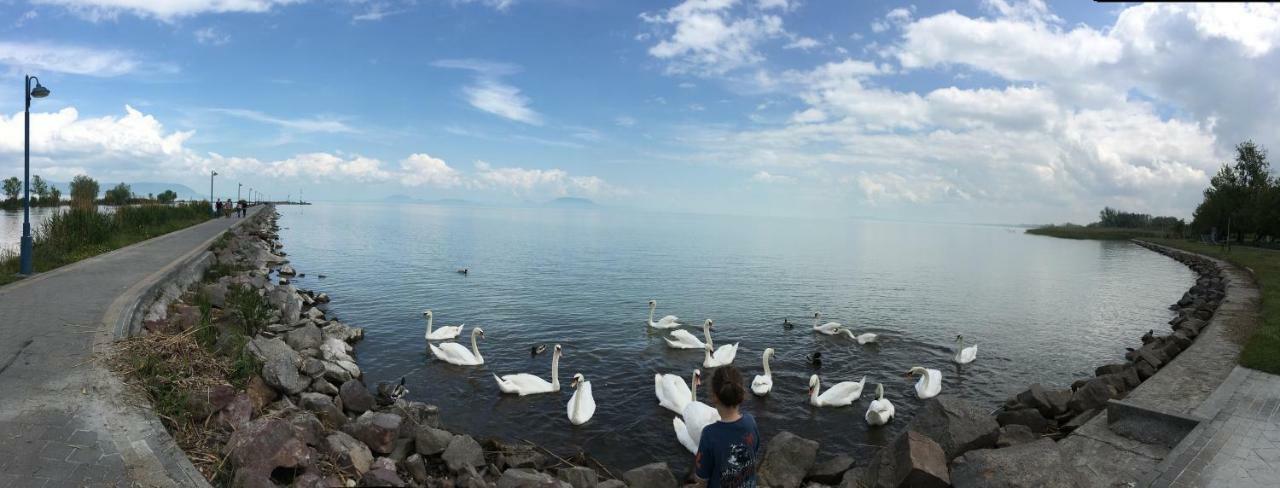Villa Maximilian Balatonkeresztúr Exteriör bild